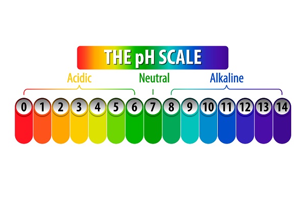 Conducting pH Analysis and Attempts to Find a Happy Balance