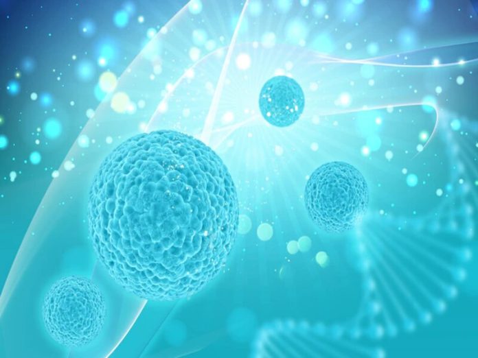 Les cellules souches sont-elles le traitement du futur de l'alopécie ?